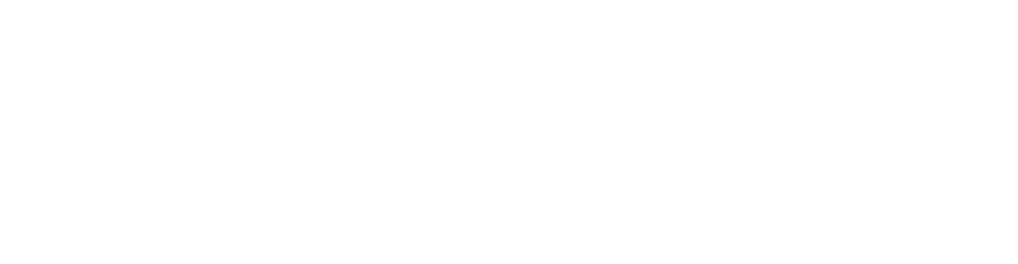 One Piece Card Game